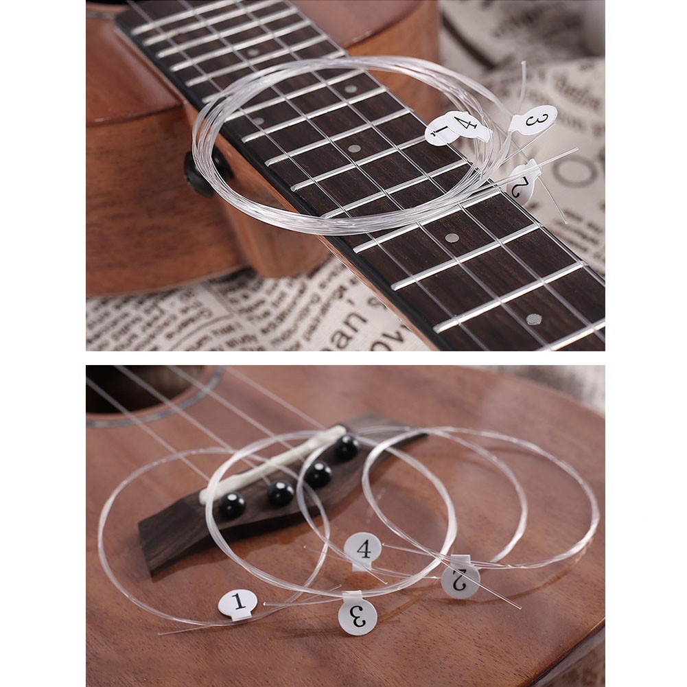 Ukulele Carbon Strings For Sop - Ukulele Beginner Kit บทวิจารณ์และราคา